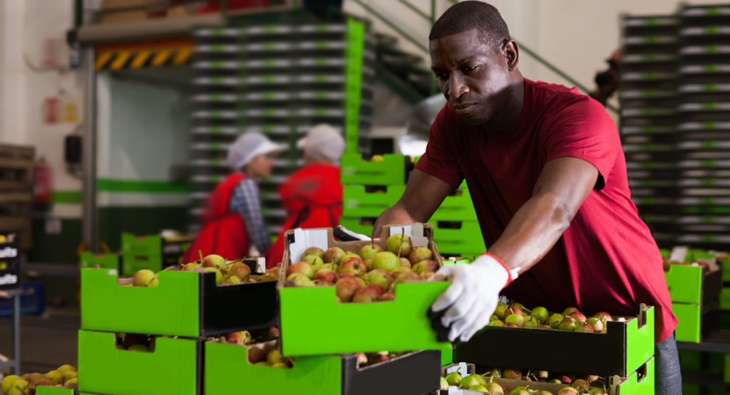 Casual Worker; Image Source: @CANVA