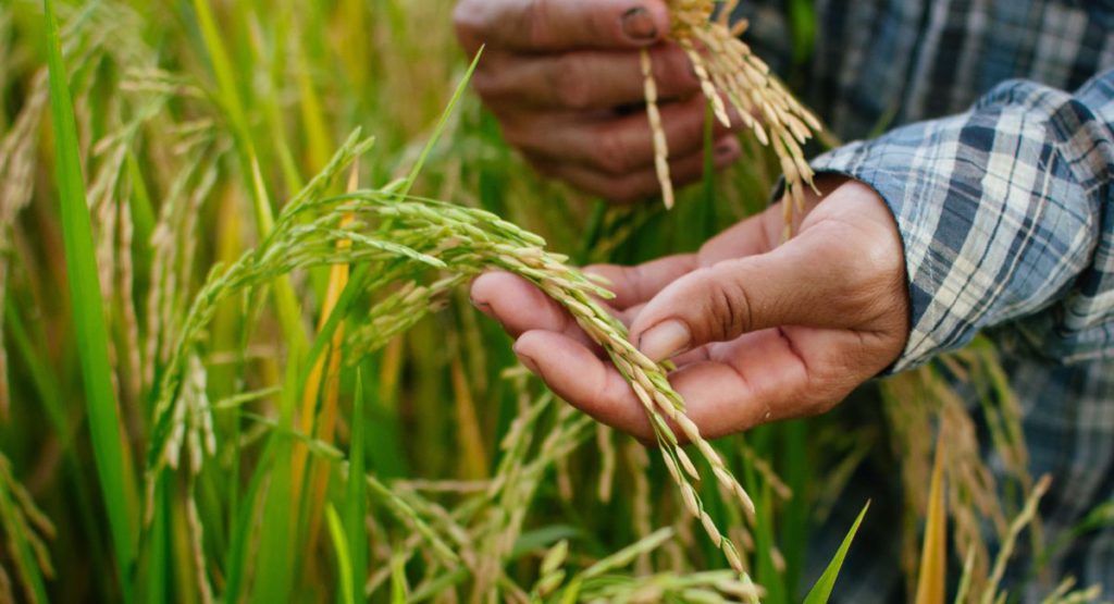 Commonwealth Games 1 2 1