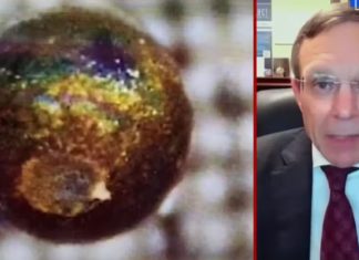 Spherical meteor fragments found in Pacific Ocean may have come from an alien spaceship