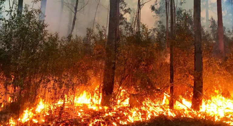 What the Hawaii tragedy means for our flammable continent?