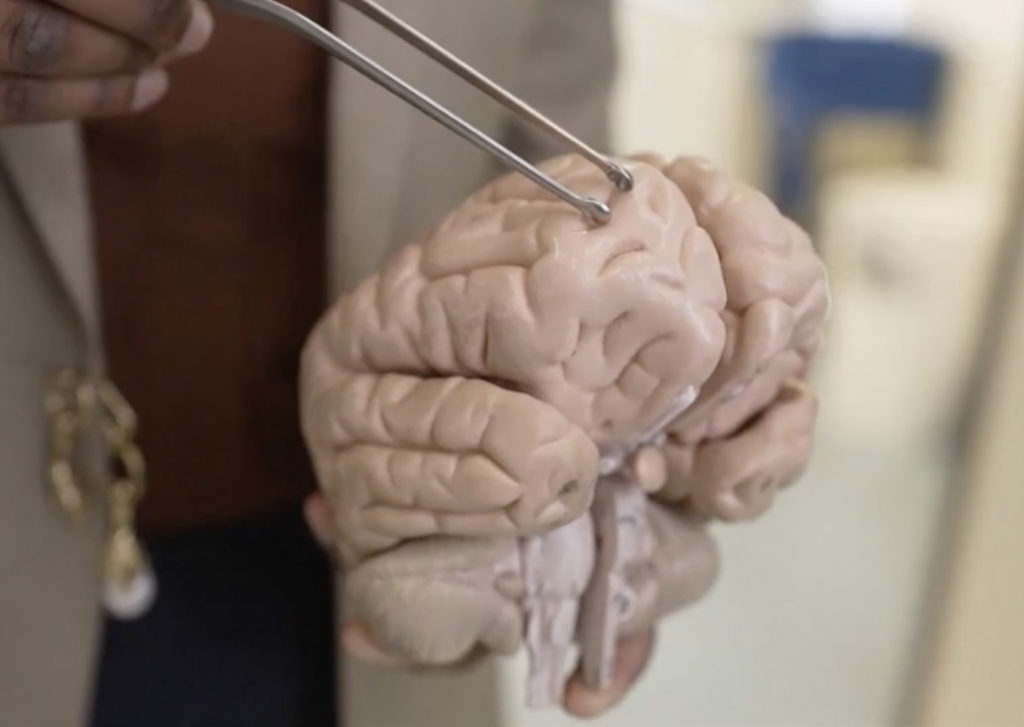 Indian Australian doctor removes 3-inch long-live parasitic worm; Image Source Screen Shots @BBC Video