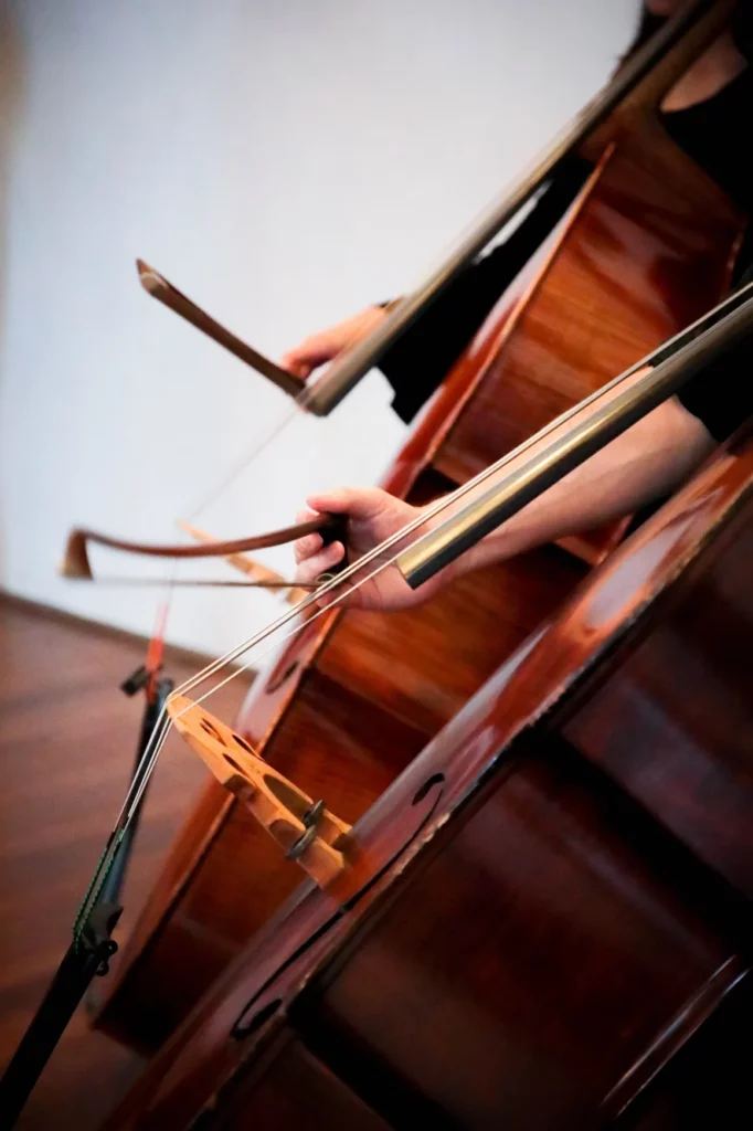 Bollywood meets Symphony at Australian Indian Orchestra's inaugural concert in Sydney 18 rsw 1160h 1741 5 18