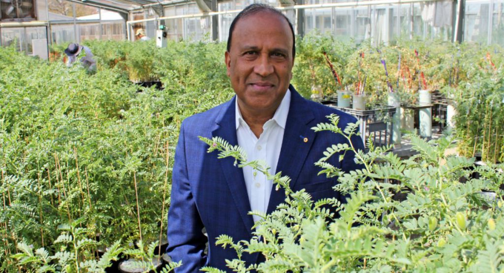 Indian Migrant Worker 18 26