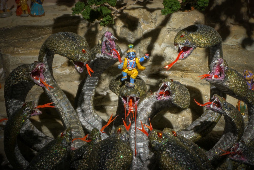 WhatsApp Image 2023 09 06 at 8.45.03 PM 6 1 6