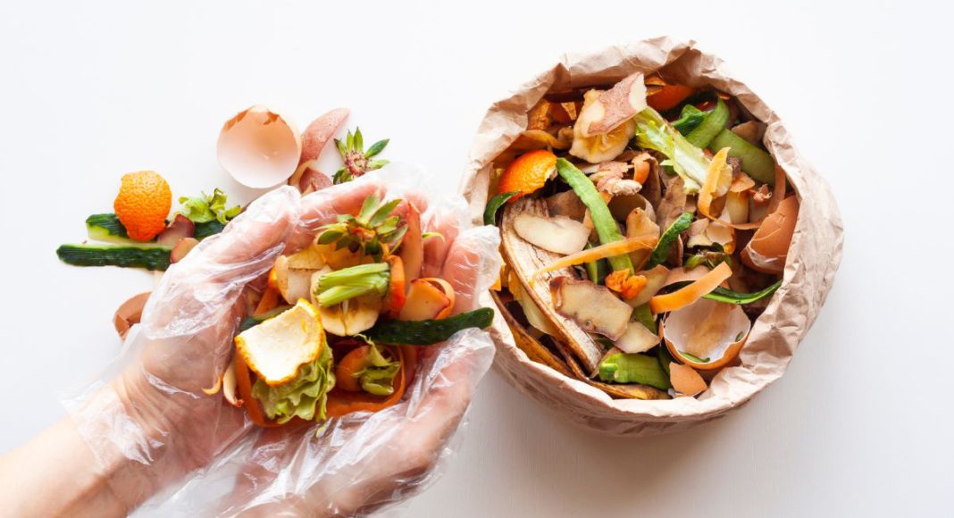 Image: Food Waste (Source: CANVA)