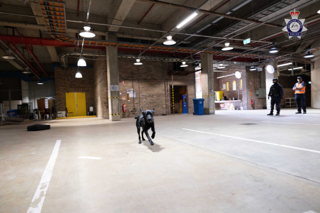 20231123Canine Conference1 copy 3