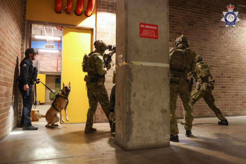 20231123Canine Conference12 copy 2