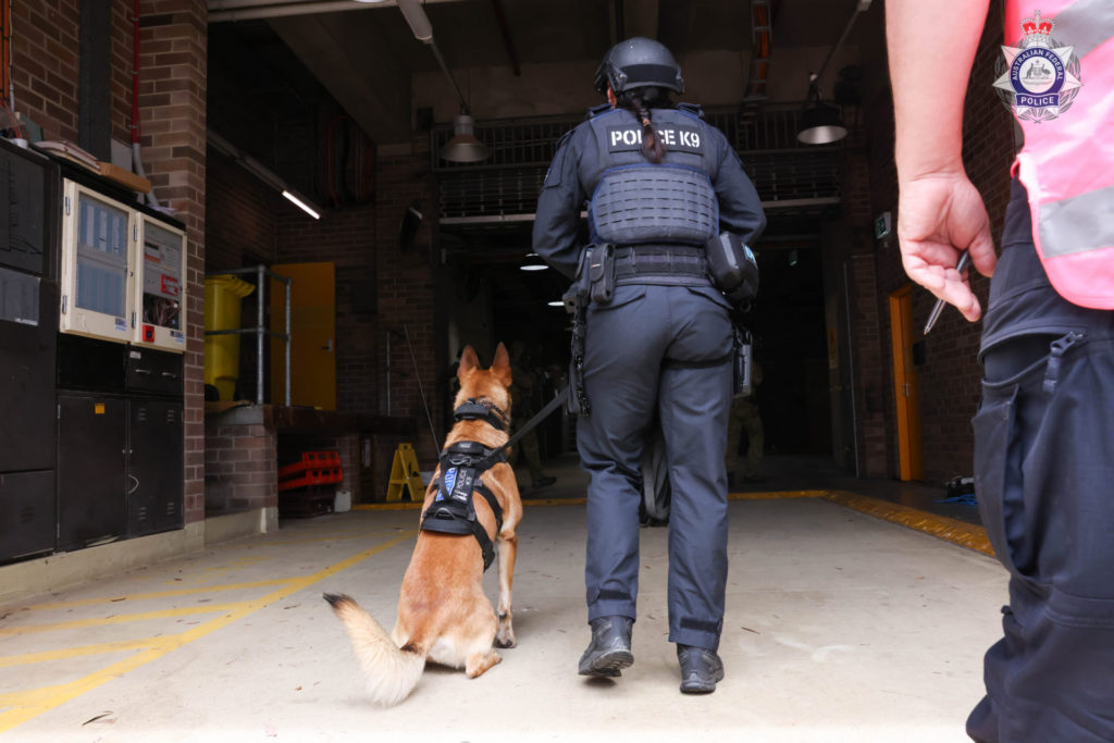 20231123Canine Conference9 copy 1