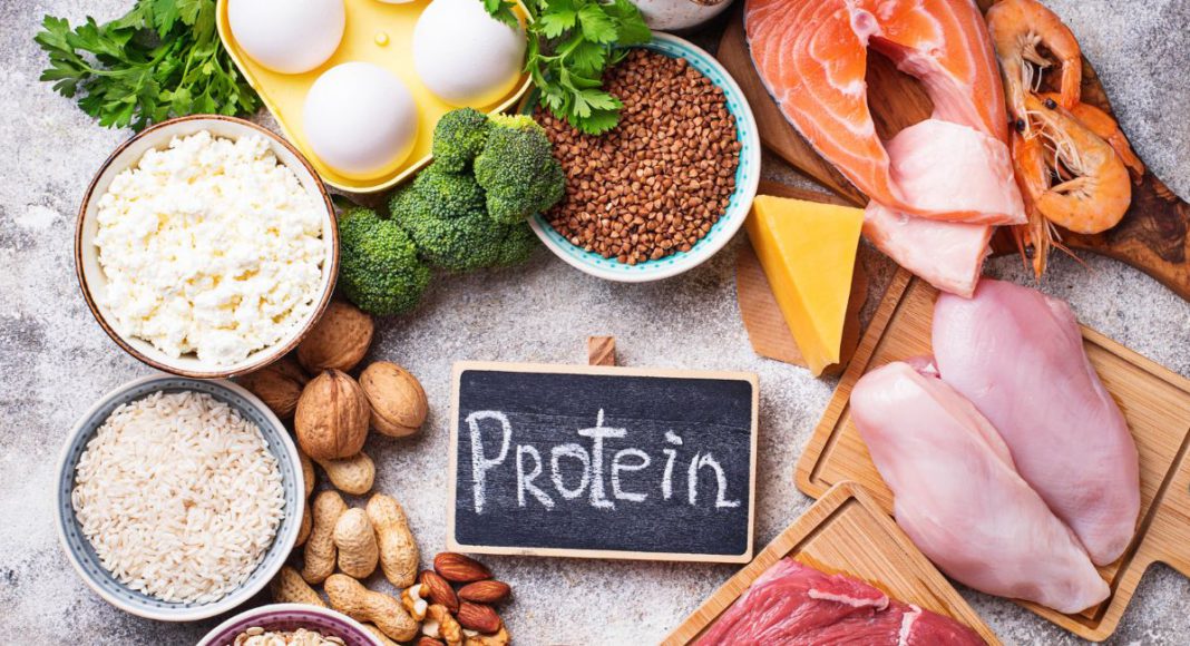 Representative image: Protein diet (Source: CANVA)