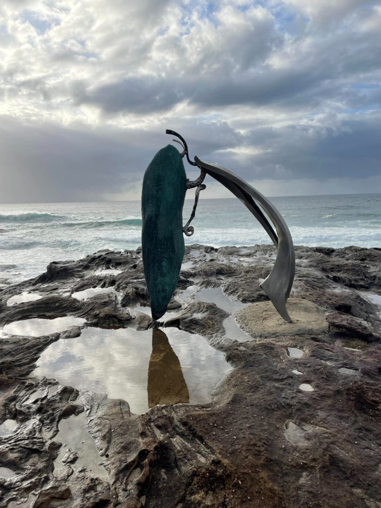 WhatsApp Image 2023 11 06 at 5.08.22 PM 1