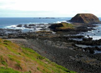 Planning a trip to Phillip Island; here’s a detailed plan