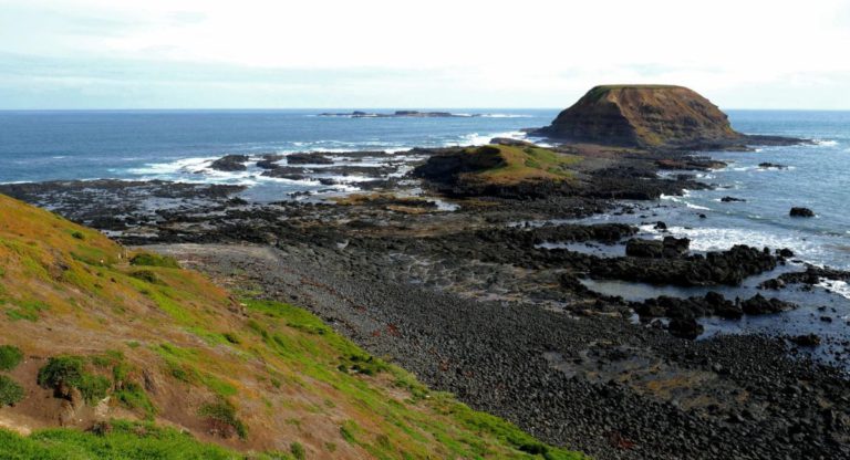 Planning a trip to Phillip Island; here’s a detailed plan