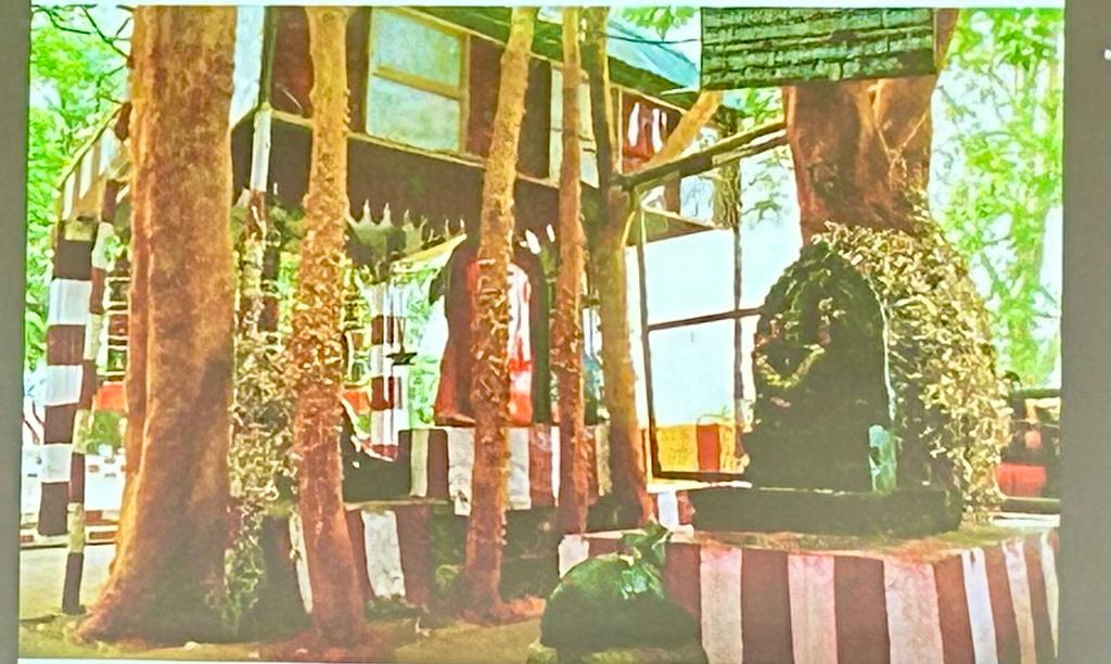 WhatsApp Image 2023 12 10 at 6.24.08 PM 1 5