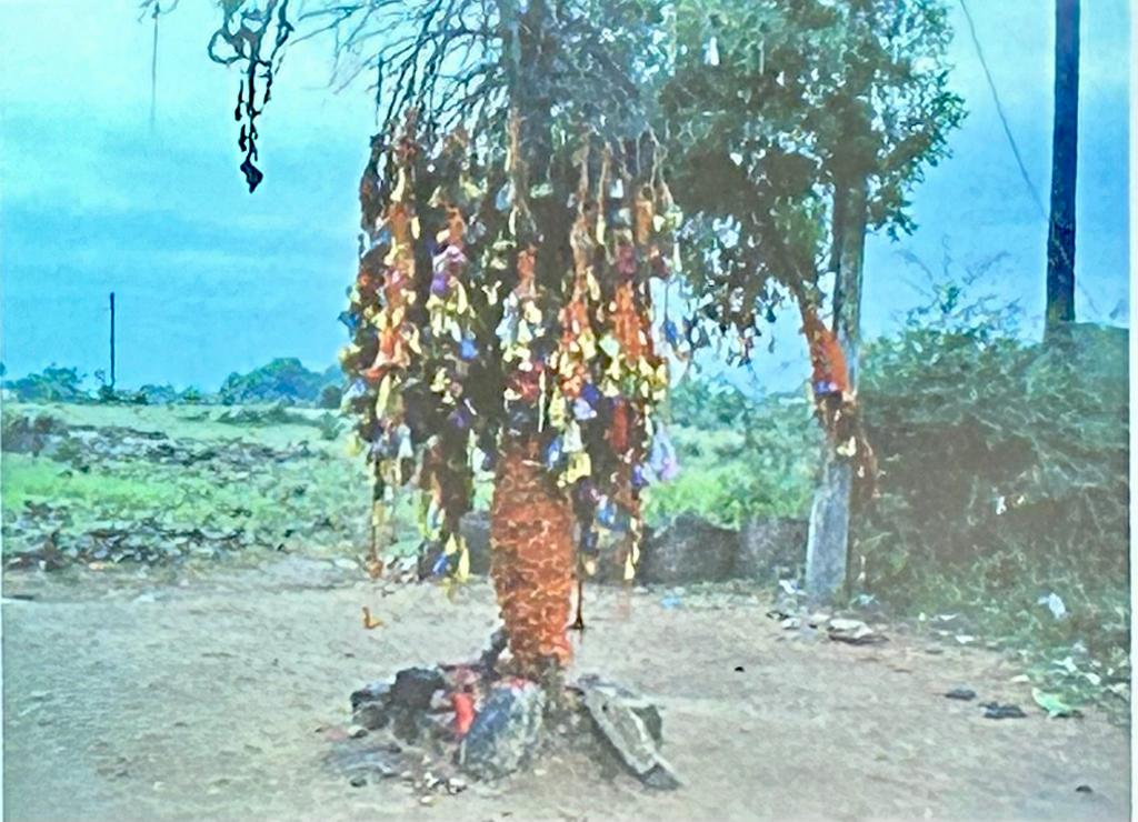 WhatsApp Image 2023 12 10 at 6.24.08 PM 2 4