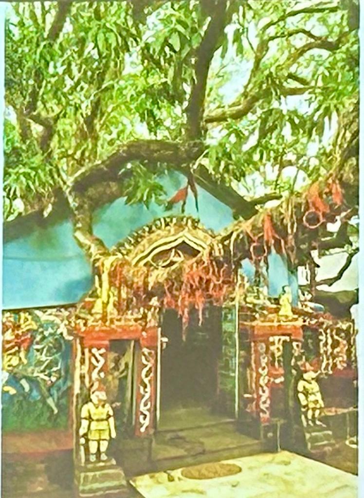 WhatsApp Image 2023 12 10 at 6.24.08 PM 3 3