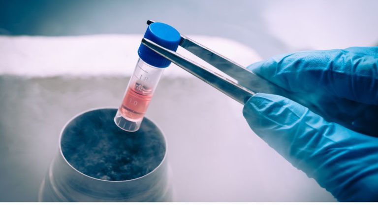 Eggs from men, sperm from women: how stem cell science may change how we reproduce