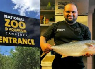 Chef charged with alleged murder of a female colleague at a zoo in Canberra