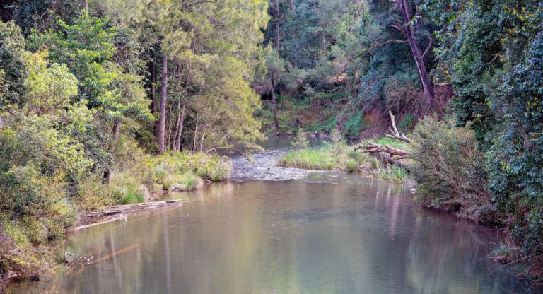 How Australia’s First Nations managed Australia’s ecosystems