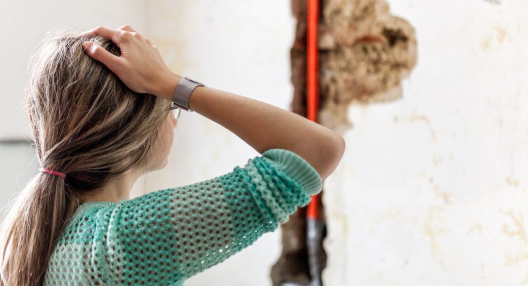 Mould; Image Source @Canva