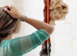 Mould; Image Source @Canva