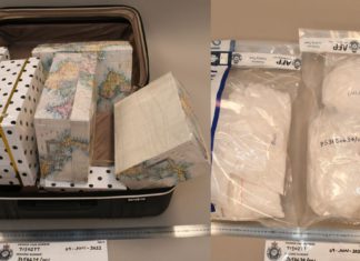 78-year-old Canadian ‘drug mule’ gets 12 years jail in Australia