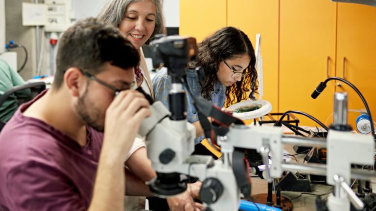 Encourage international students to study skill shortage courses and in regional locations, says new report