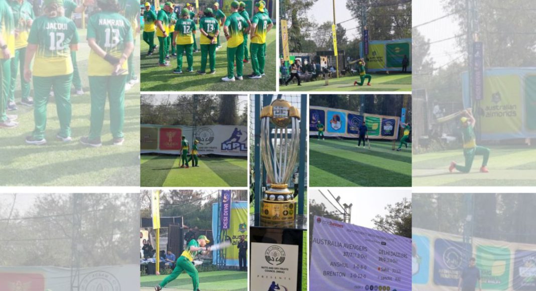 Image: MEWA Cricket Tournament (Source: Austrade - LinkedIn)