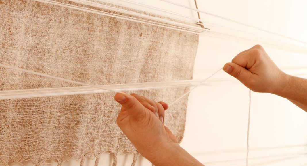 Representative image: Merino Wool (Source: CANVA)