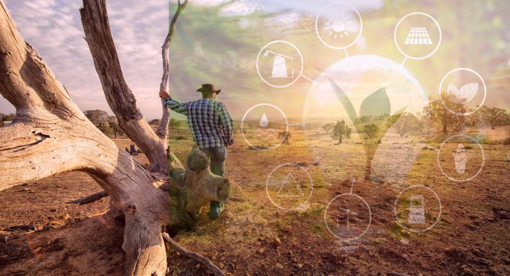 Kashi Vishwanath Temple Image Source Supplied 1