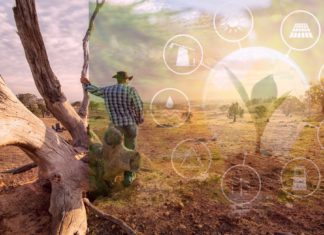 First Nations people must be at the forefront of Australia’s renewable energy revolution