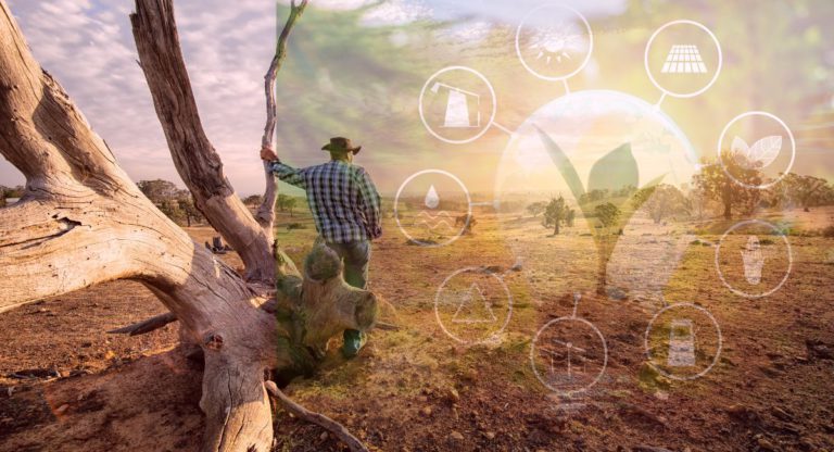 First Nations people must be at the forefront of Australia’s renewable energy revolution