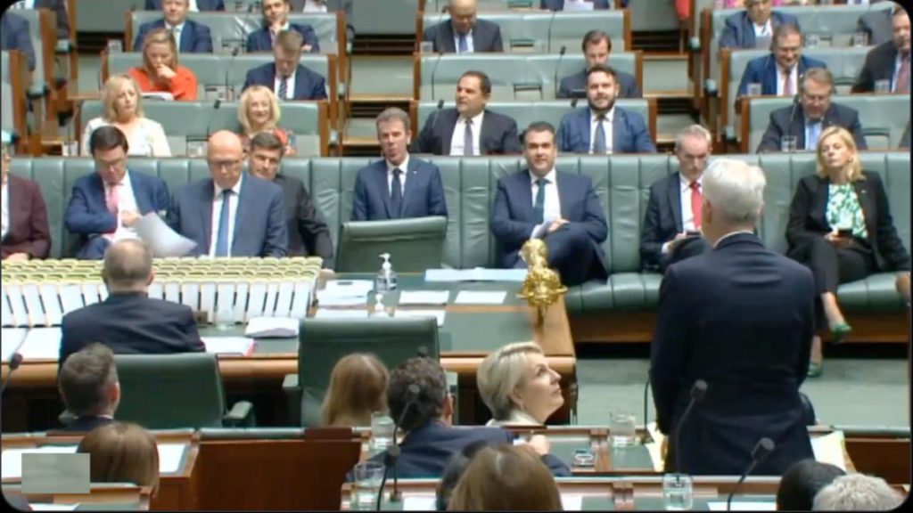 Andrew Giles speaking at Parliament of Australia; Image Source @Screenshot
