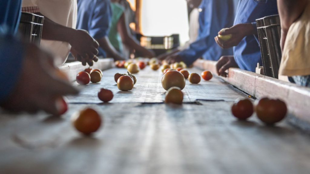 Overseas workers warned of forced labour conditions before seeking employment in Australia 1 Housing affordability crisis Image Source @Canva 1