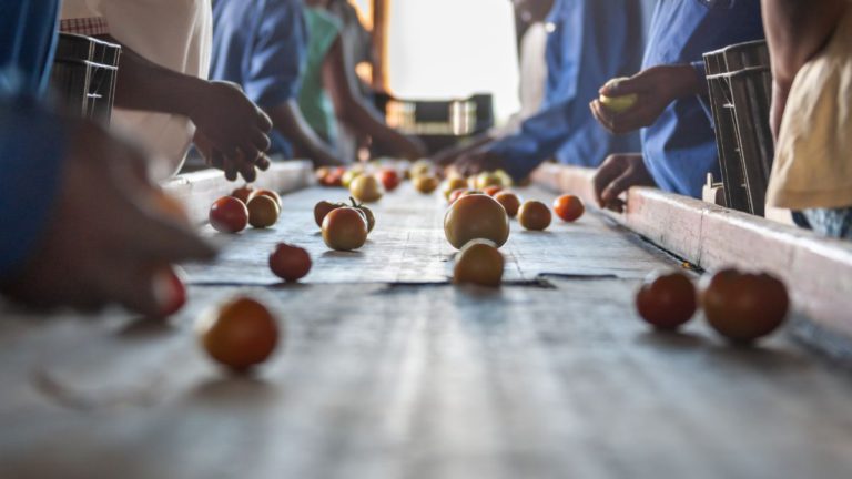 Overseas workers warned of forced labour conditions before seeking employment in Australia