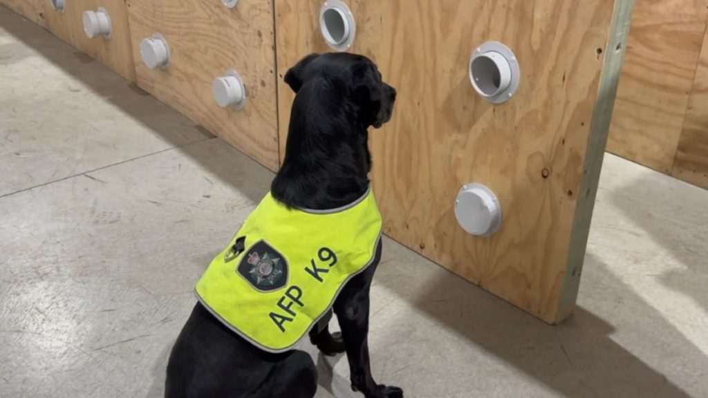 Highly-trained police detection dogs safeguard the 2024 ASEAN-Australia Special Summit 1 Image Source Dawoodi Bohra Women Group 1 1 4 1