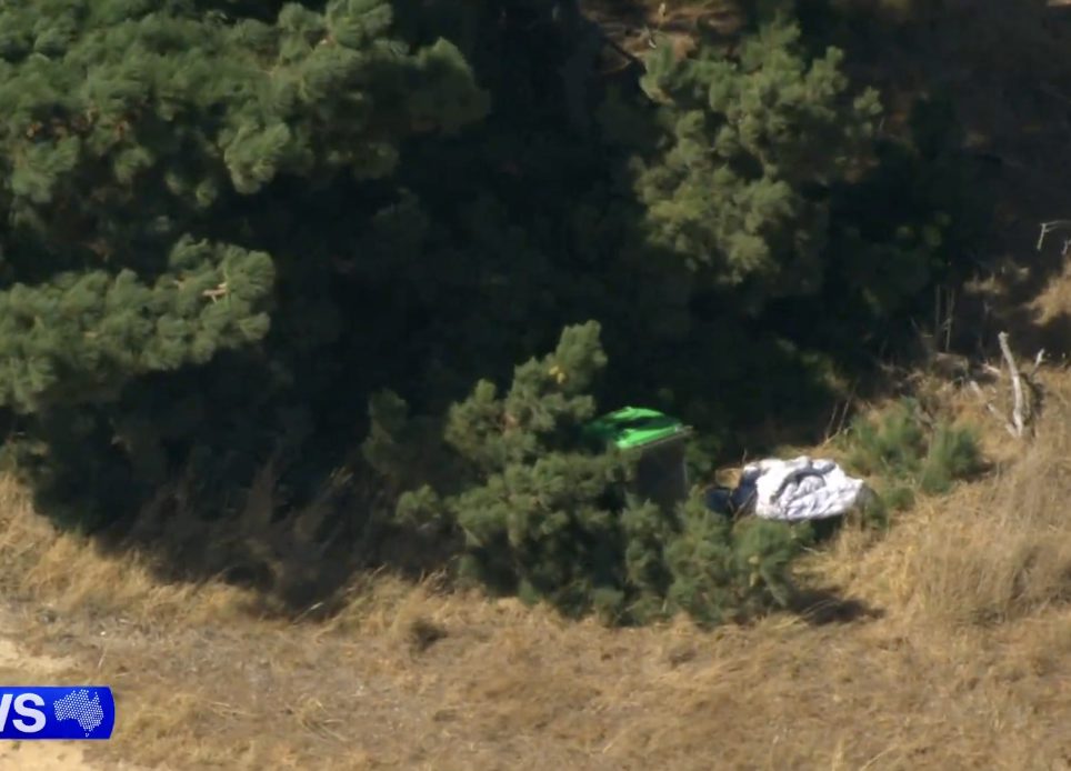 Image Source 9News Screenshots