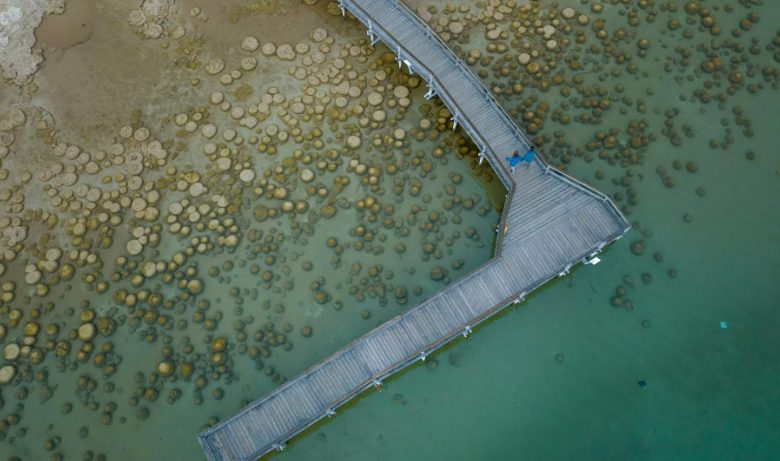 Screenshot 2024 03 11 124832 2