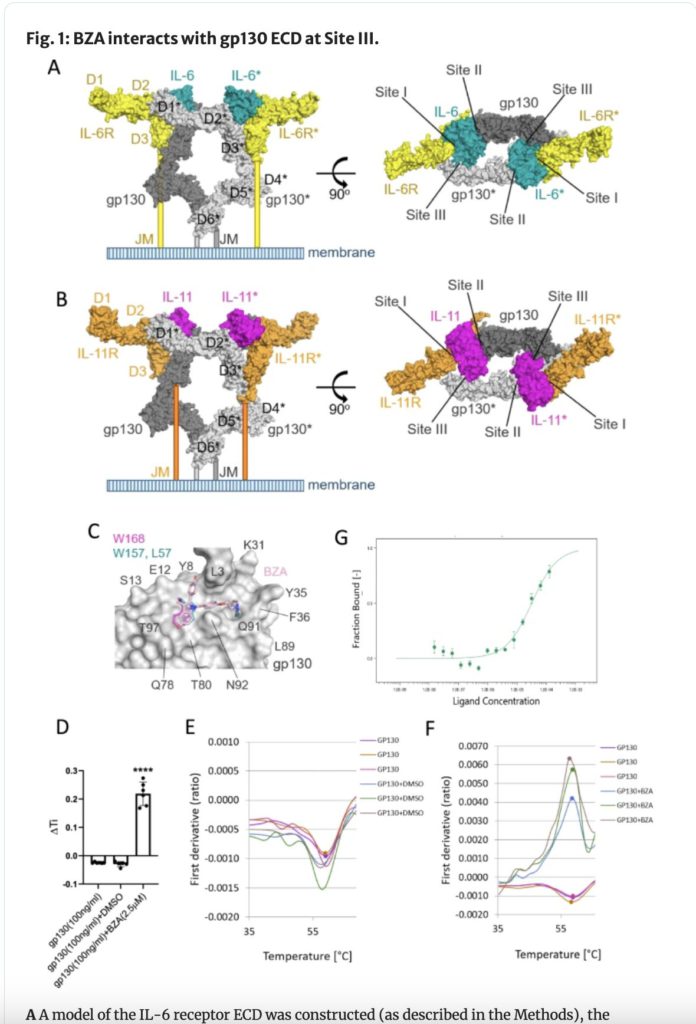 Screenshot 2024 04 18 at 10.43.48 AM 1