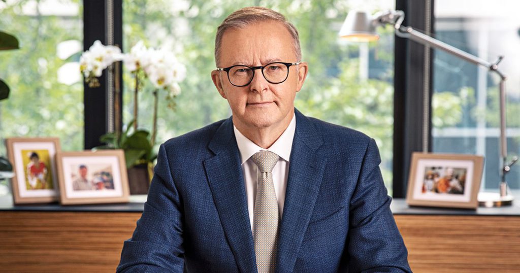 grayndler anthony albanese 3