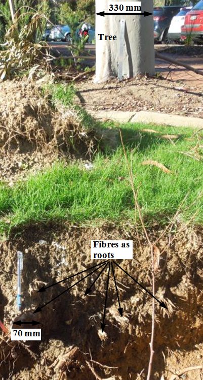 5 Foundation soil reinforced randomly with natural root fibres as appeared in my book 1