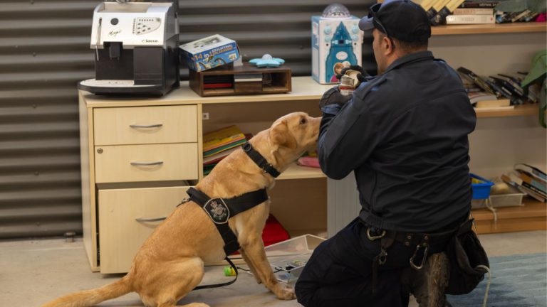 Bark-Tech Boom: AFP’s canines lead the charge in fighting crime