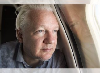 Why has Julian Assange been a significant public figure for the last two decades?