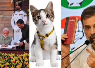 Schrödinger’s cat confused as losers rejoice, victors distraught in historic Indian elections