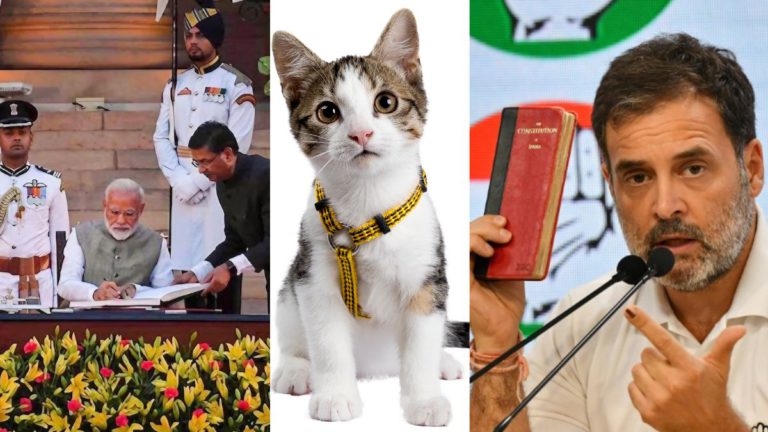 Schrödinger’s cat confused as losers rejoice, victors distraught in historic Indian elections