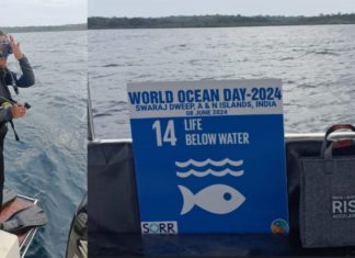 Image Source; Supplied