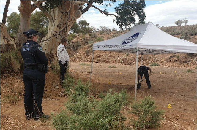 Screenshot 2024 06 27 132146 5