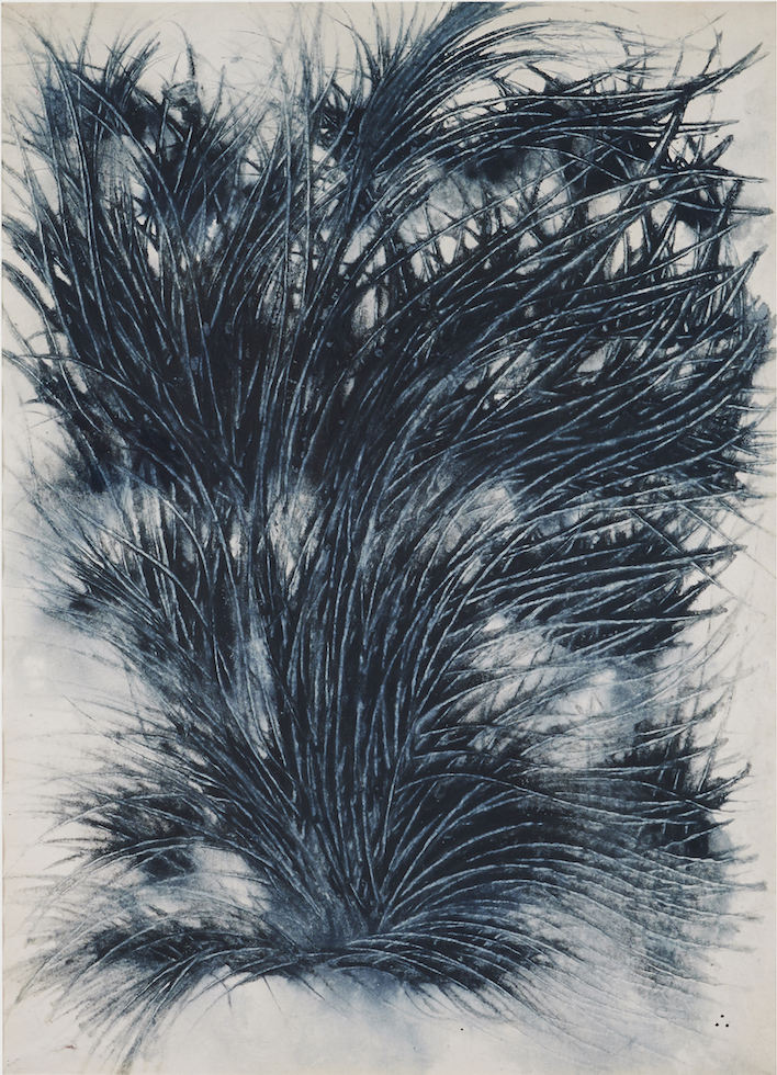 artist 1649527144 42