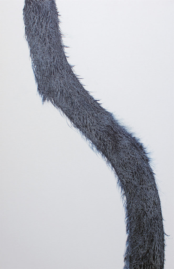 artist 1649527204 43