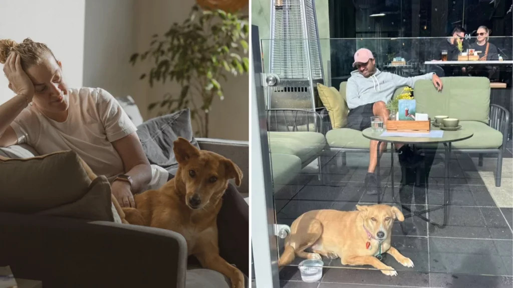 Canva Design DAGL0Pv82WY 1 2