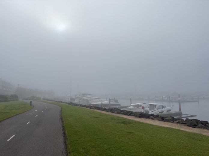 Image Source: The Australia Today